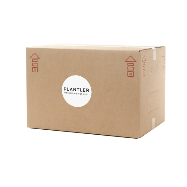plantler box